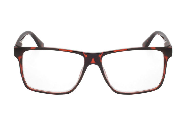 Flot og elegant brille i skildpaddebrunt stel - hverdagsbriller.dk - billede 2